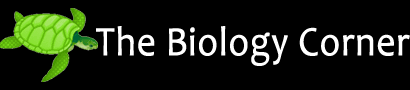 موقع Biologycorner