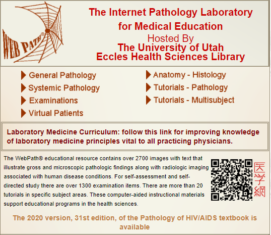 هل تريد شرح باثولوجي؟ إليك أفضل 4 مواقع تعليم علم الأمراض (Pathology ...