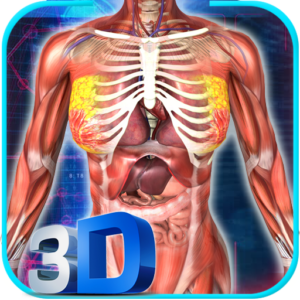 تطبيق Female Anatomy 3D
