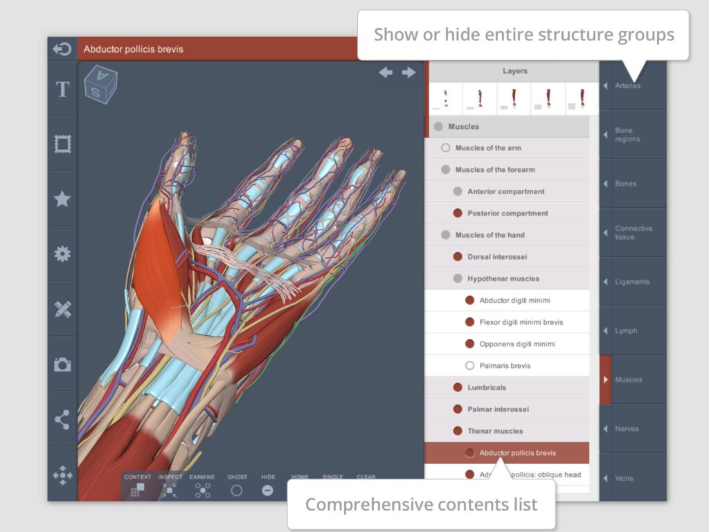 تطبيق Forearm and Hand