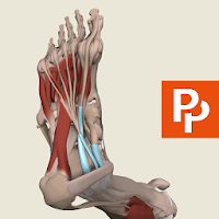 تطبيق Leg and Foot