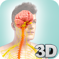 تطبيق Nervous System Anatomy Pro