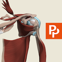 تطبيق Shoulder and Arm