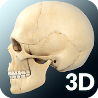 تطبيق Skull Anatomy Pro