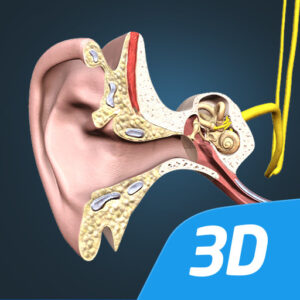 تطبيق The mechanism of hearing