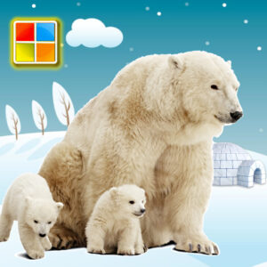 تطبيق Animals Cards