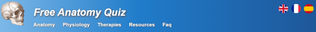 موقع موقع Free Anatomy Quiz أحد مصادر اختبار نفسك في التشريح