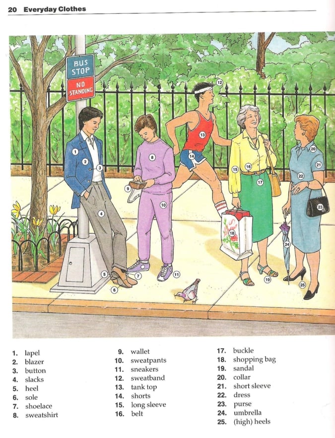 كتاب The New Oxford Picture Dictionary الباش كاتبة