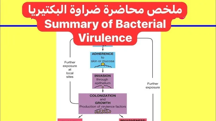 قناة محاضرات فى الميكروبيولوجى والمناعة