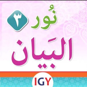 المستوى الثالث