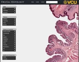 موقع Digital Histology
