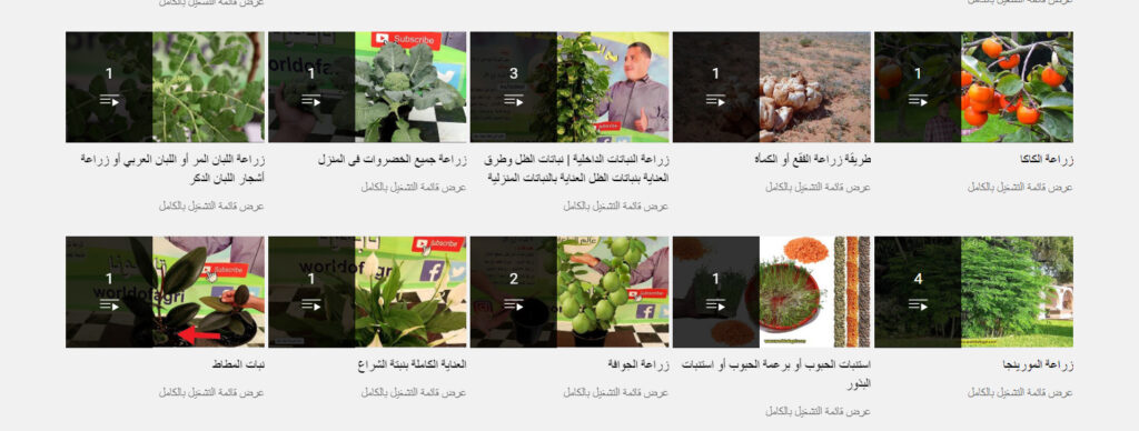 قناة World Of Agriculture 