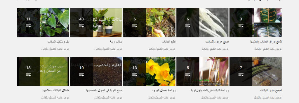 قناة كيفية زراعة وتجذير النباتات How To Plant