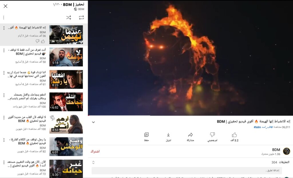 قناة بي دي إم