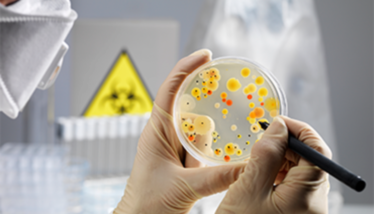 أفضل 3 مواقع ميكروبيولوجي لتعليم الأحياء الدقيقة مجانًا!