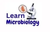موقع Learn Microbiology