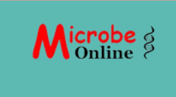 موقع Microbe Online