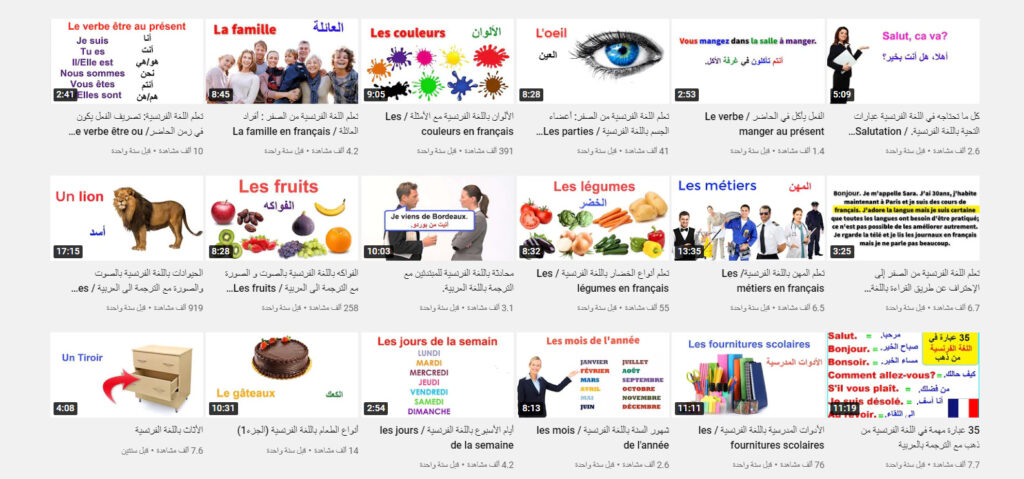 قناة l'académie de la langue française