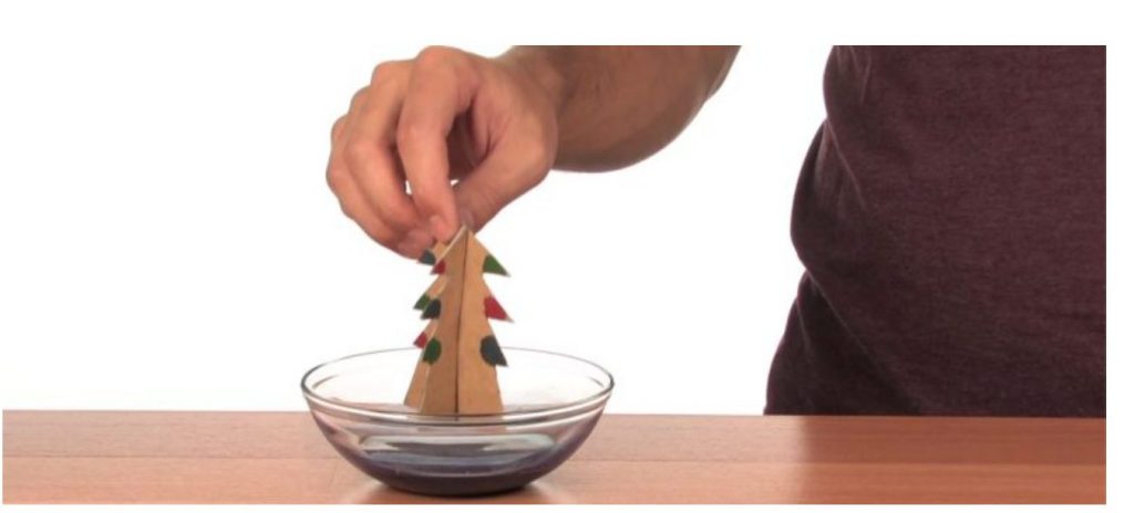 ضع الشجرة في المحلول السحري