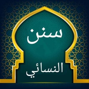 تطبيق سنن النسائي بدون نت