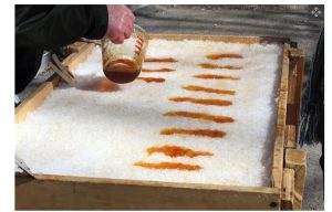 حلوى العسل الأسود أحد التجارب قارسة البرودة