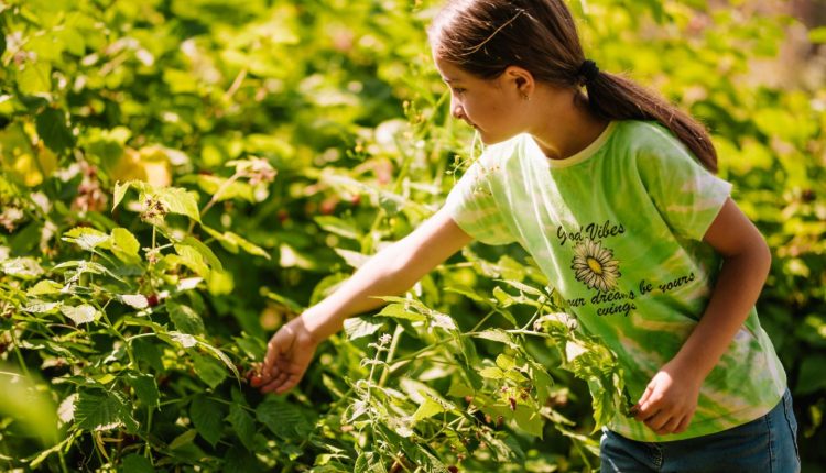 هل تعلم أن المساحات الخضراء قد تقلل من خطر إصابة طفلك ب ADHD