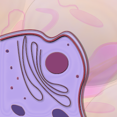 تطبيق Icell لتعليم تشريح الخلية