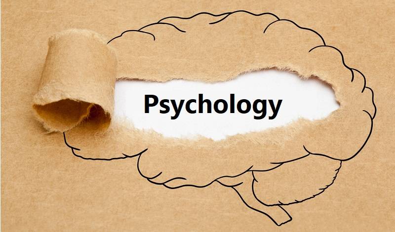 تعرّف على أفضل 5 مواقع لاختبار المستوى في علم النفس اون لاين