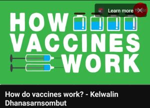 فيديو How do Vaccines work?