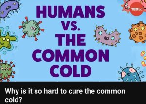 فيديو How is it so hard to cure the common cold?