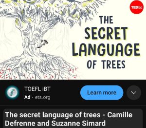 فيديو The Secret language of trees