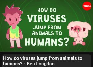 فيديو How do Viruses jump from animals to humans?