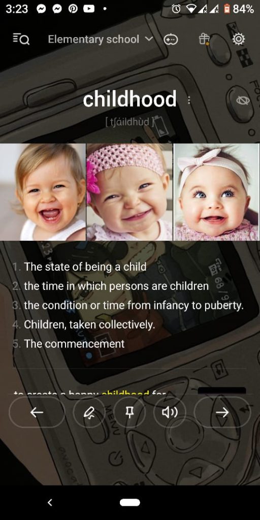 الصفحة الرئيسية