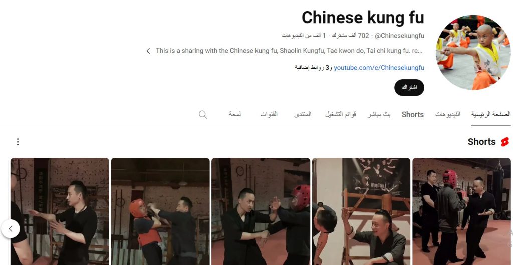 قناة Chinese kung fu