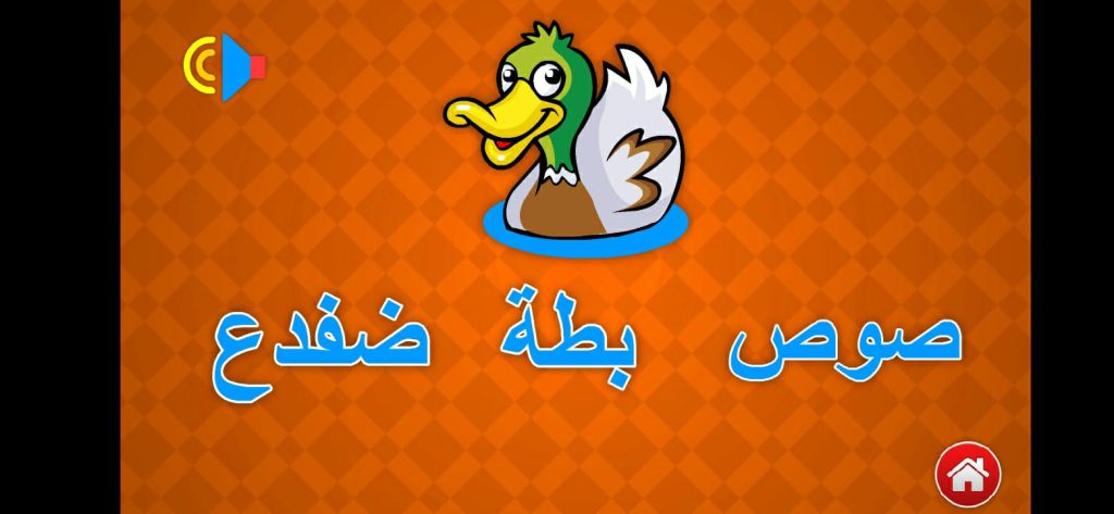اختبار الصور من تطبيق الكلمات والحروف العربية