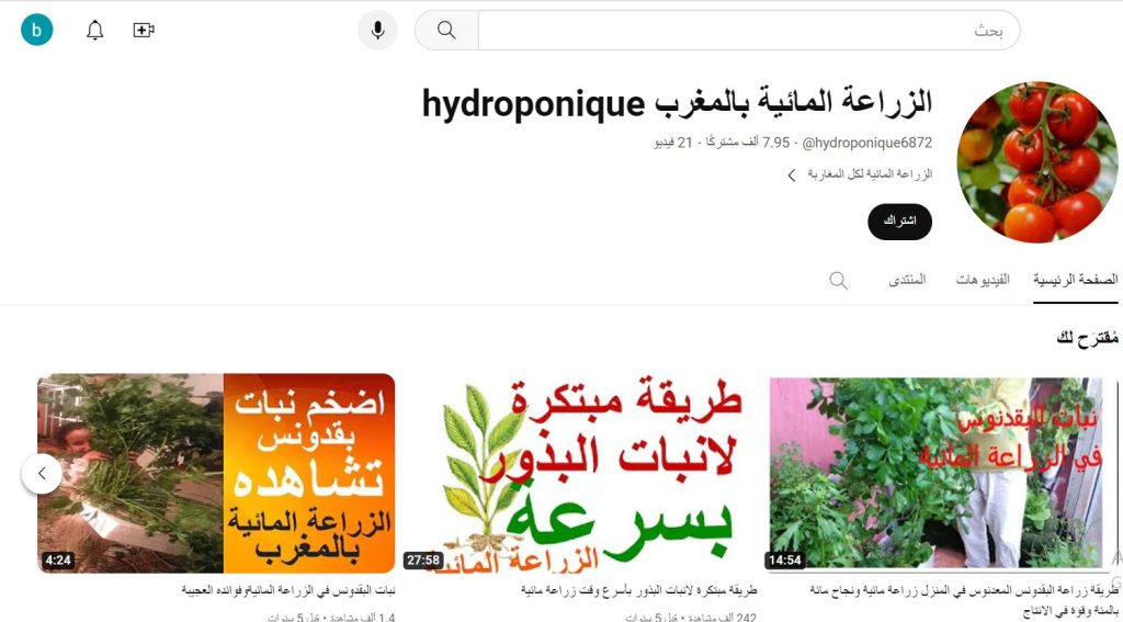 قناة الزراعة المائية بالمغرب hydroponique