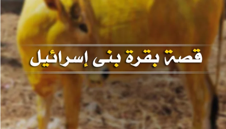 تعرّف على قصة بقرة بني إسرائيل للأطفال!