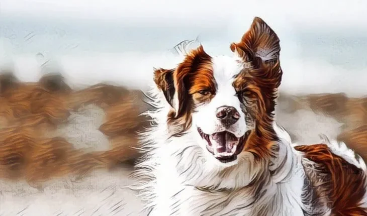 أفضل 7 مواقع لتحويل الصور إلى كرتون اون لاين