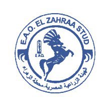 مدرسة الزهراء لتعليم الفروسية
