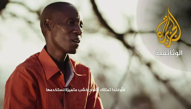 برنامج وجوه إفريقية