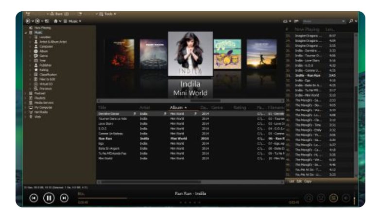 مشغل الفيديو MediaMonkey 