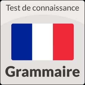 تطبيق Test in Grammar - French