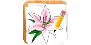تطبيق How to Draw Flowers لتعلم رسم الزهور