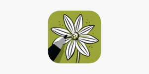 تطبيق How to draw flowers tutorials لتعليم رسم الورد