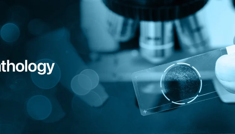 هل تدرس الباثولوجي؟ إليك أفضل 4 مواقع للكويزات في علم الأمراض مجانًا!