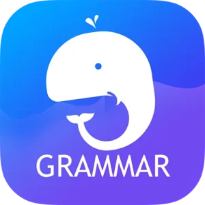 تطبيق English Grammar: Learn & Test